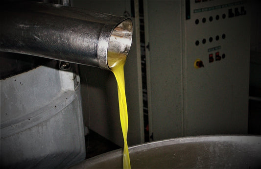 Lucaniae organic extra virgin olive oil from Basilicata, single origin Maiatica cultivar