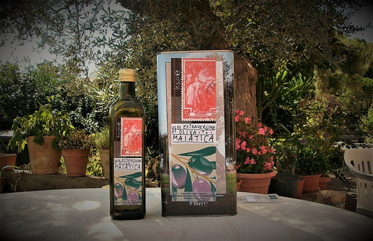 Freshly pressed organic extra virgin olive oil at the Claps mill in Basilicata