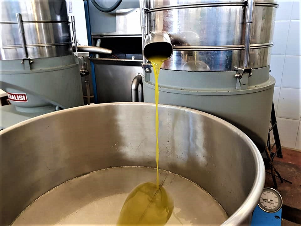 olive oild first pressed
